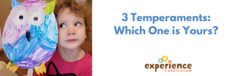 3 Temperaments: Which One is Yours?
