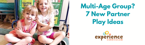 Multi-Age Group? 7 New Partner Play Ideas + Multiple Intelligences Wheel