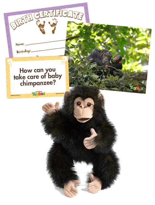 Chimp_Inspiration