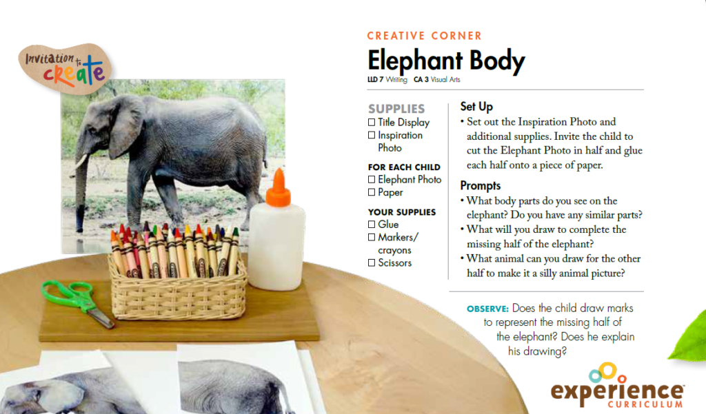 Elephant Body Directions