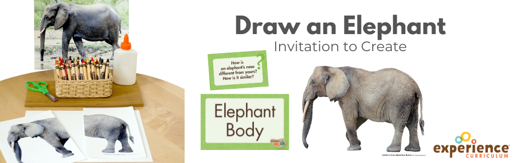 Draw an Elephant Invitation to Create – Experience Early Learning