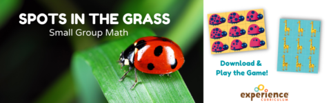 Play the Spots in the Grass Small Group Math Game