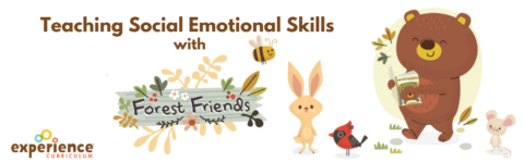 Teaching Social Emotional Skills with Forest Friends